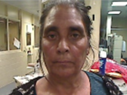 Immigration and Customs Enforcement